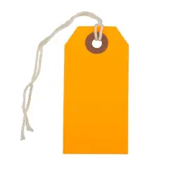 JAM Paper Gift Tags, 100ct. Neon Orange