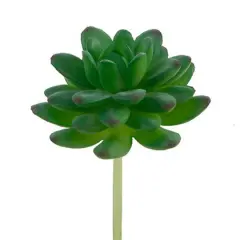 Flora Bunda&reg; Stonecrop Succulent Pick, 12ct.