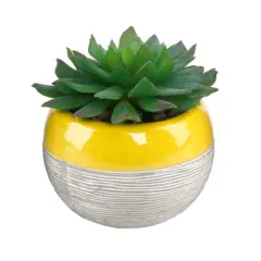 Flora Bunda&reg; Succulent In Two Tone Pattern Yellow Ceramic Pot