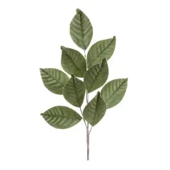 Green Magnolia Leaf Sprays, 6ct.