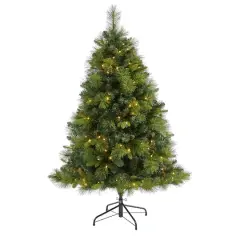 5ft. Pre-Lit North Carolina Mixed Pine Artificial Christmas Tree, Warm White LED Lights