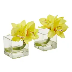 8" Boat Orchid Arrangement in Glass Vase, 2ct. Yellow