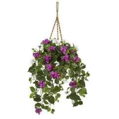 2.5ft. Mixed Bougainvillea in Hanging Basket