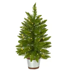 2ft. Pre-Lit Providence Pine Artificial Christmas Tree, Warm White Lights