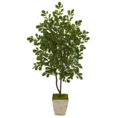 4ft. Oak Tree in Country White Planter