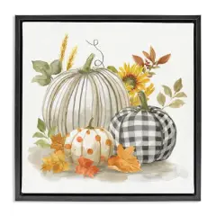 Stupell Industries Patterned Pumpkins Autumn Harvest Floater Framed Art Black
