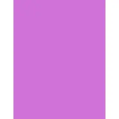 PA Paper&trade; Accents 8.5" x 11" 65lb. Smooth Cardstock, 1000 Sheets Grape