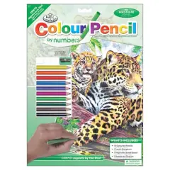 Royal & Langnickel&reg; Jaguars by the Pool Colour Pencil&trade; by Number Kit