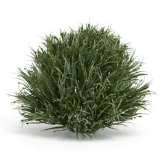 $product['description']['title']}