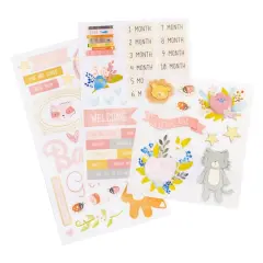 Girl Adventure Baby Stickers by Recollections&trade;