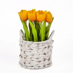 10" Tulip Bouquet in White Basket Orange