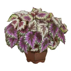 19" Wax Begonia in Decorative Planter