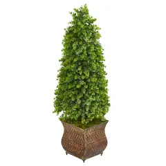 3.5ft. Eucalyptus Cone Topiary Tree in Metal Planter