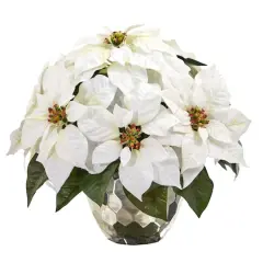 14" White Poinsettia Arrangement in Designer Silver Bowl