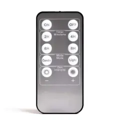 LED Wire String Light Remote Control by Ashland&reg;