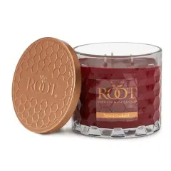 Root Candles Signature 3-Wick Honeycomb Beeswax Blend Jar Candle Spiced Orchard