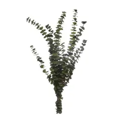 Kelly Green Dried Eucalyptus Bundle by Ashland&reg;