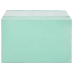 JAM Paper 5.43" X 8.62" Self Adhesive Closure Cello Sleeves, 100ct. Green