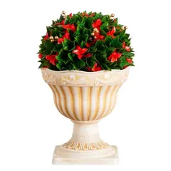 22in. UV Resistant Artificial Red Tip Photinia Christmas Ball in Classic Decorative Planter (Indoor/Outdoor)