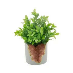 Flora Bunda&reg; 11" Tea Leaf in Pink Crystal Planter