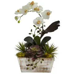 21" Orchid & Succulent Garden in White Wash Planter