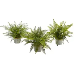 14" Fern In Decorative Pot, 3ct.