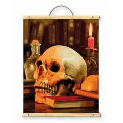 16" x 20" Skull Library Paint-by-Number Kit with Wood Display Hanger by Artist's Loft&reg;