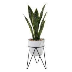 Flora Bunda&reg; 1.75ft. Snake Plant In Marble On Metal Stand
