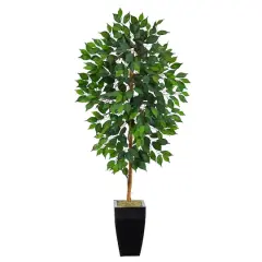 4.5ft. Ficus Tree in Black Metal Planter