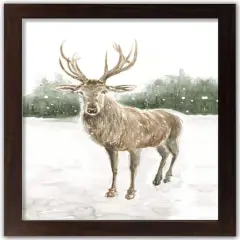 Winter Deer Walnut Framed Print Under Plexiglass