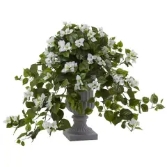 2ft. White Bougainvillea Flowering Plant with Decorative Urn