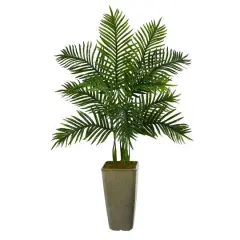 4ft. Areca Palm Tree in Green Planter