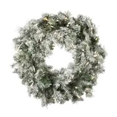 24" Pre-Lit Flocked Kiana Artificial Christmas Wreath, Warm White Dura-Lit&reg; LED Mini Lights