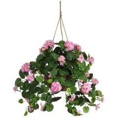 24" Pink Geranium in Hanging Basket