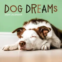 TF Publishing 2024 Dog Dreams Wall Calendar