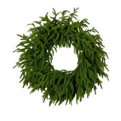 20in. Pre-Lit Artificial Real Touch Norfolk Island Pine Wreath with 35 Warm White LED Lights and Natural Look