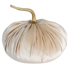 6.5" Velvet Pumpkin Tabletop D&eacute;cor by Ashland&reg; White