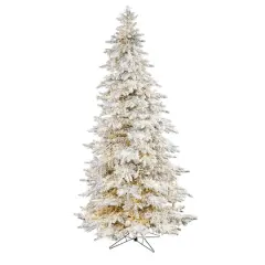 9ft. Pre-Lit Grand Northern Rocky Fir Artificial Christmas Tree, Warm LED Lights