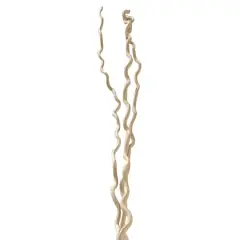 Cream Curly Willow Branch Bundle by Ashland&reg;