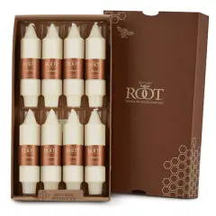 Root Candles 5" Unscented Smooth Collenette Taper Candles, 8ct. Ivory
