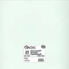 PA Paper&trade; Accents 12" x 12" 80lb. Pearlized Paper, 25 Sheets Aloe