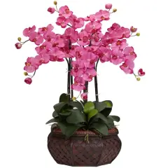 2.5ft. Pink Moth Orchid Flower Arrangement in Bamboo Planter