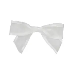 JAM Paper 7/8" Sheer Satin Edge Twist Tie Bows, 100ct. White