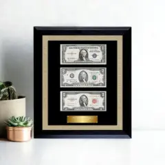 Historic Currency Collection in Currency Frame