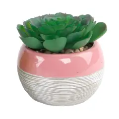 Flora Bunda&reg; Succulent In Two Tone Lines Pattern Pink Ceramic Pot 