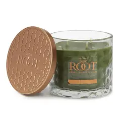Root Candles Signature 3-Wick Honeycomb Beeswax Blend Jar Candle Hosta