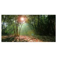 Designart - Amazing Green Forest at Sunset - Landscape Canvas Art Print