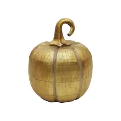 Gold Brushed Pumpkin Tabletop D&eacute;cor by Ashland&reg;