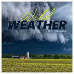 TF Publishing 2025 Weather Wall Calendar