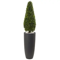 4ft. Boxwood Topiary with Gray Cylindrical Planter
